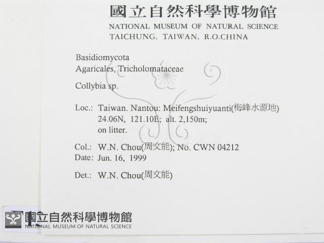 登錄號:F0013142藏品圖，第2張
