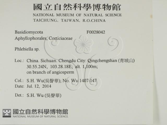 登錄號:F0028042藏品圖，第2張