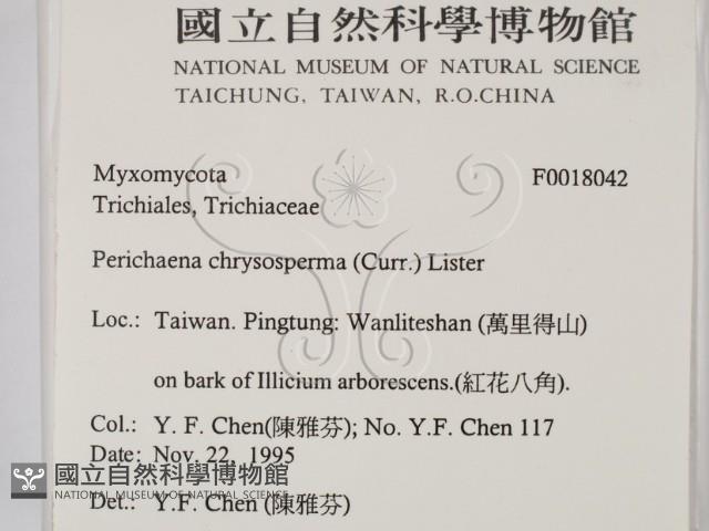 登錄號:F0018042藏品圖，第2張