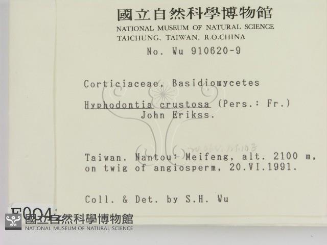 登錄號:F0000042藏品圖，第2張