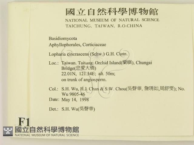 登錄號:F0010042藏品圖，第2張