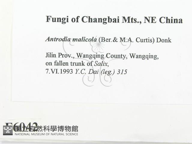 登錄號:F0006042藏品圖，第2張