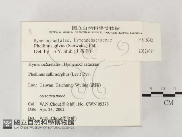 登錄號:F0016042藏品圖，第2張