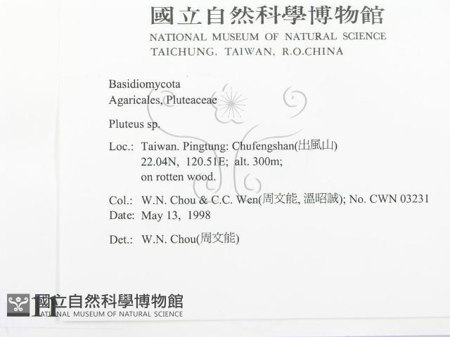 登錄號:F0011042藏品圖，第2張