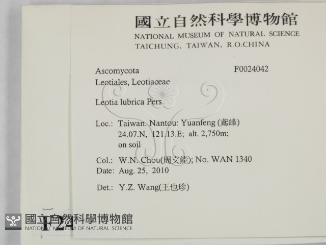 登錄號:F0024042藏品圖，第2張