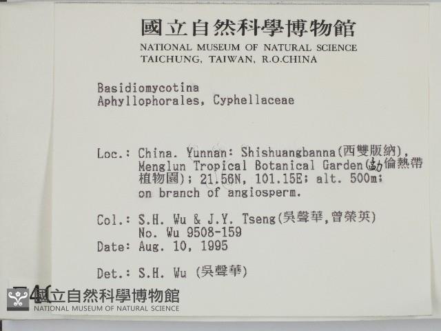 登錄號:F0004042藏品圖，第2張