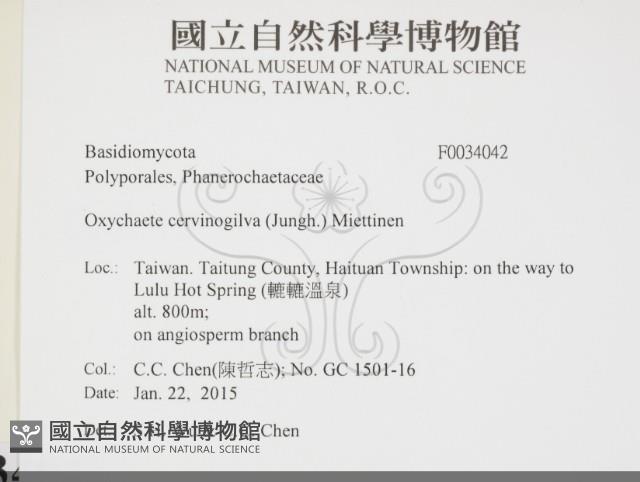 登錄號:F0034042藏品圖，第2張