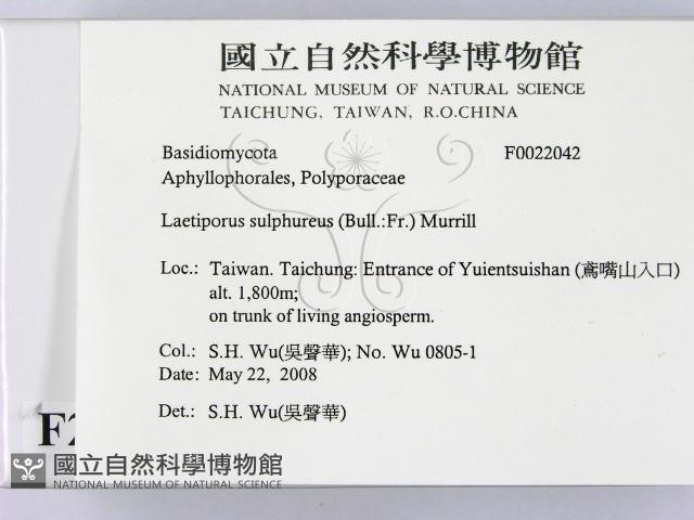登錄號:F0022042藏品圖，第2張