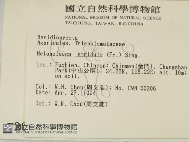 登錄號:F0002042藏品圖，第2張