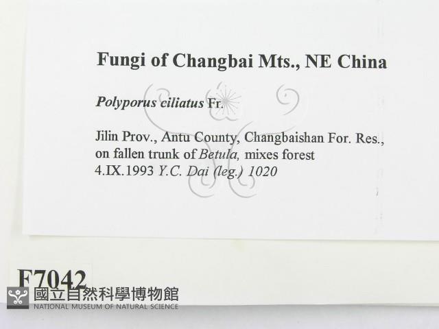 登錄號:F0007042藏品圖，第2張