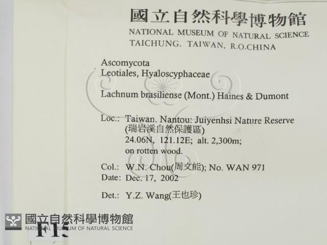 登錄號:F0015042藏品圖，第2張