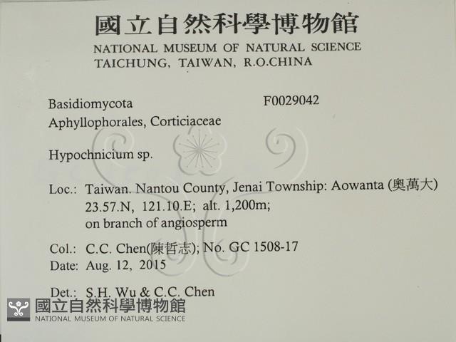 登錄號:F0029042藏品圖，第2張