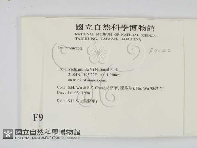 登錄號:F0009042藏品圖，第2張