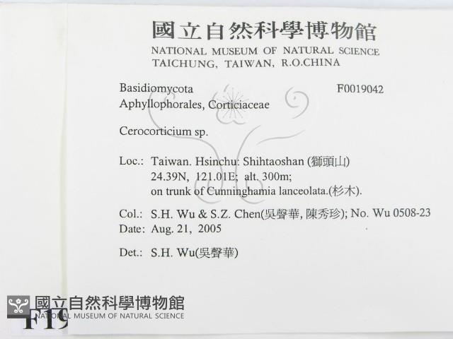 登錄號:F0019042藏品圖，第2張