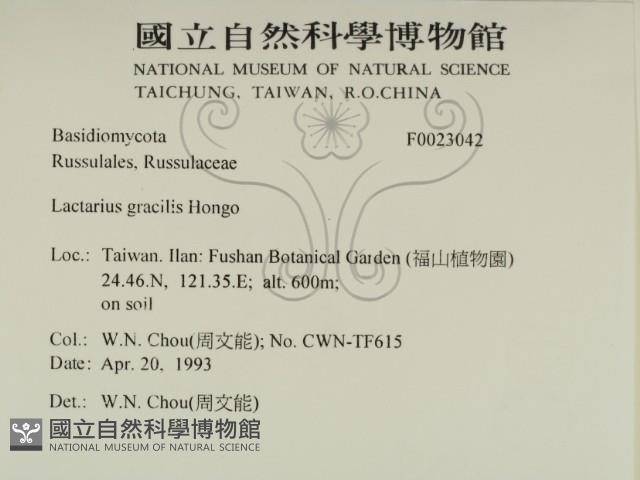 登錄號:F0023042藏品圖，第2張