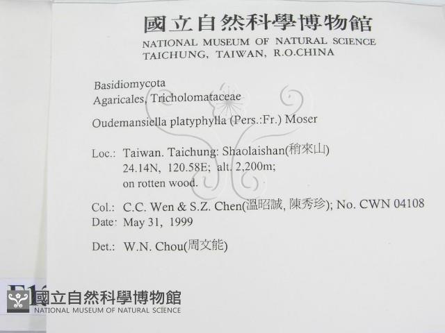 登錄號:F0013042藏品圖，第2張