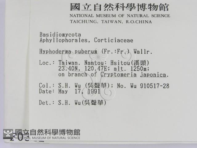 登錄號:F0000342藏品圖，第2張