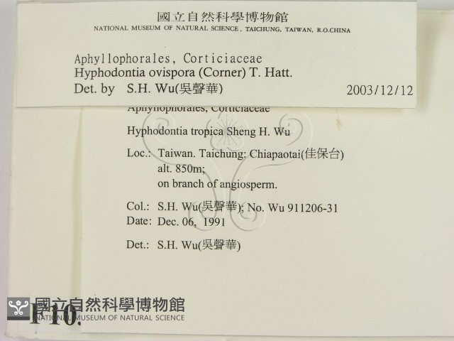 登錄號:F0010342藏品圖，第2張