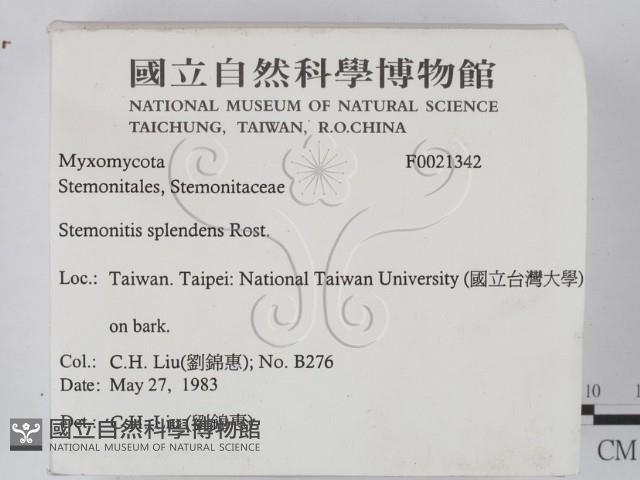 登錄號:F0021342藏品圖，第2張