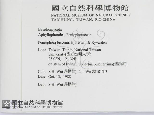 登錄號:F0011342藏品圖，第2張