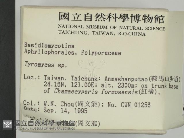 登錄號:F0004342藏品圖，第2張