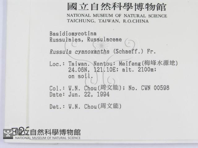 登錄號:F0002342藏品圖，第2張