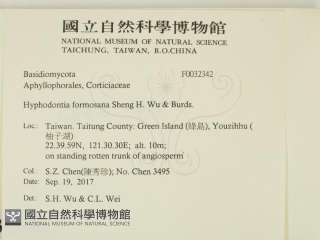 登錄號:F0032342藏品圖，第2張