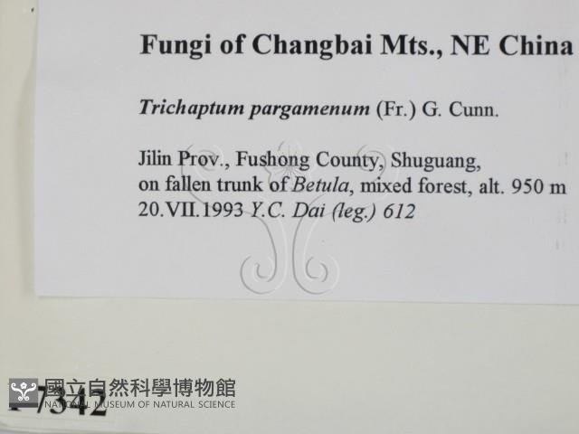 登錄號:F0007342藏品圖，第2張