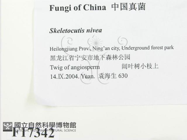 登錄號:F0017342藏品圖，第2張