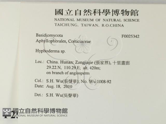 絲皮菌屬藏品圖，第2張