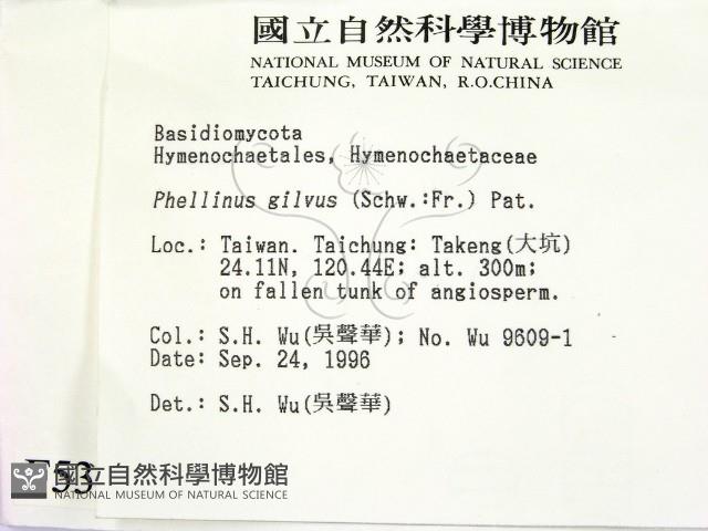 登錄號:F0005342藏品圖，第2張