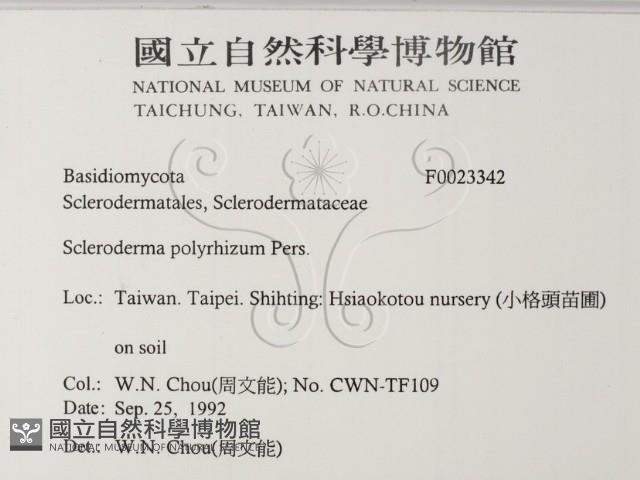 登錄號:F0023342藏品圖，第2張