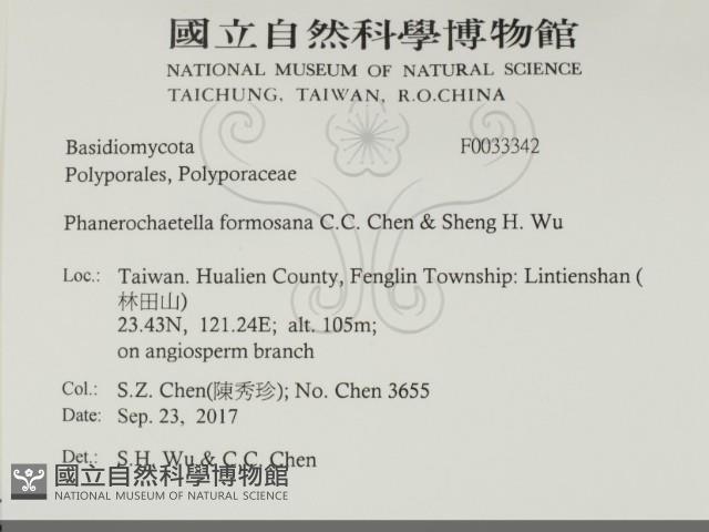 登錄號:F0033342藏品圖，第2張