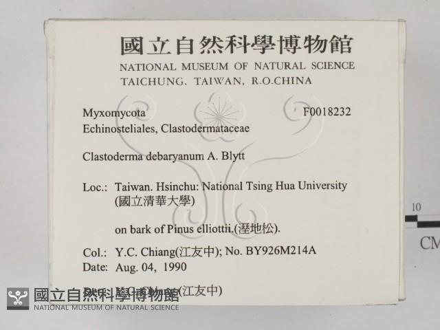登錄號:F0018232藏品圖，第2張