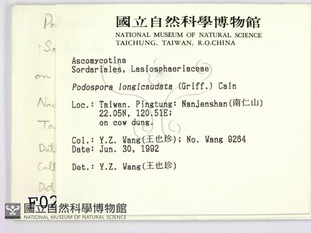 登錄號:F0000232藏品圖，第2張