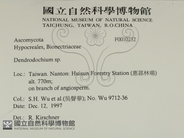 登錄號:F0010232藏品圖，第2張