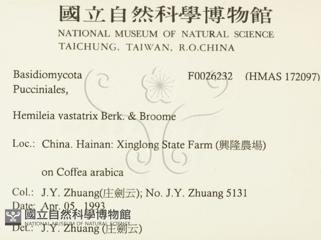 登錄號:F0026232藏品圖，第2張