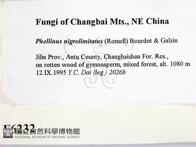 登錄號:F0006232藏品圖，第2張