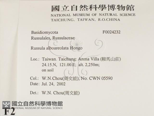 登錄號:F0024232藏品圖，第2張