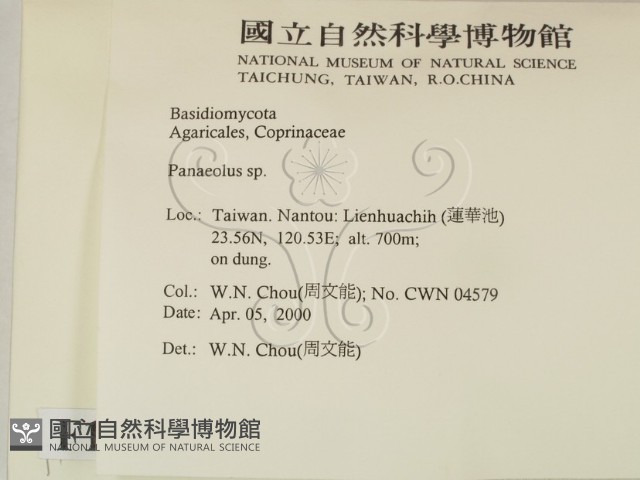 登錄號:F0014232藏品圖，第2張