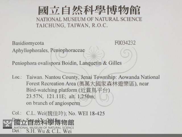 登錄號:F0034232藏品圖，第2張