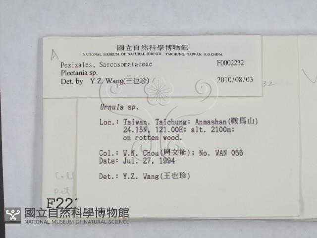 登錄號:F0002232藏品圖，第2張