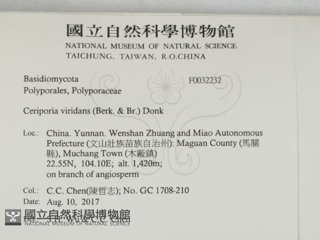 登錄號:F0032232藏品圖，第2張