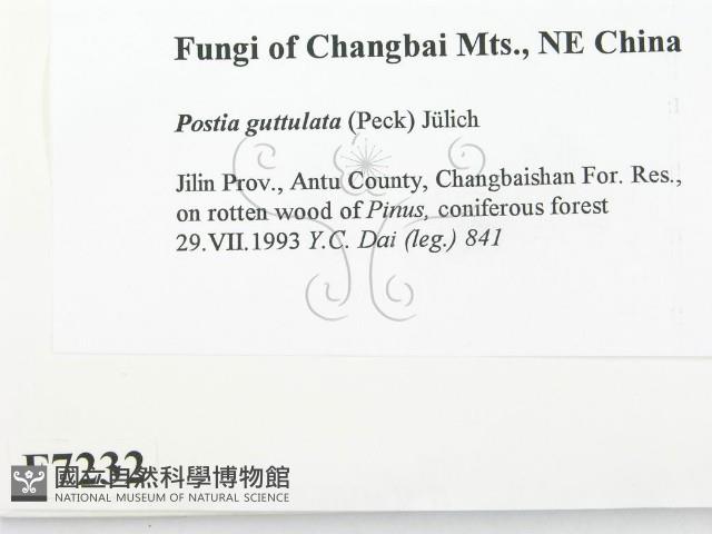 登錄號:F0007232藏品圖，第2張