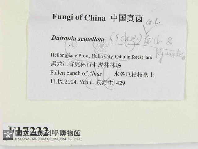 登錄號:F0017232藏品圖，第2張