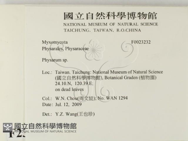 登錄號:F0023232藏品圖，第2張