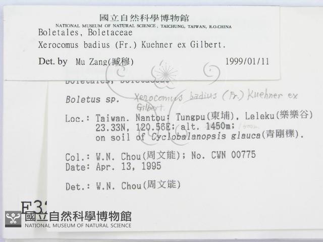 登錄號:F0003232藏品圖，第2張