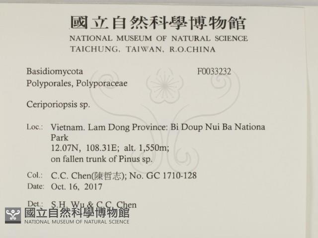 登錄號:F0033232藏品圖，第2張