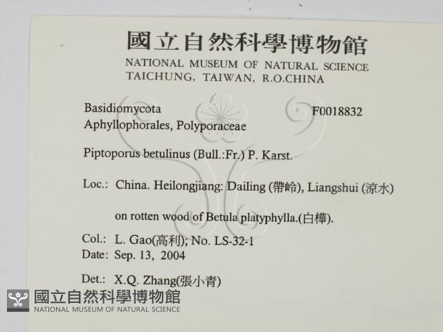登錄號:F0018832藏品圖，第2張