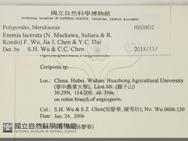 登錄號:F0020832藏品圖，第2張